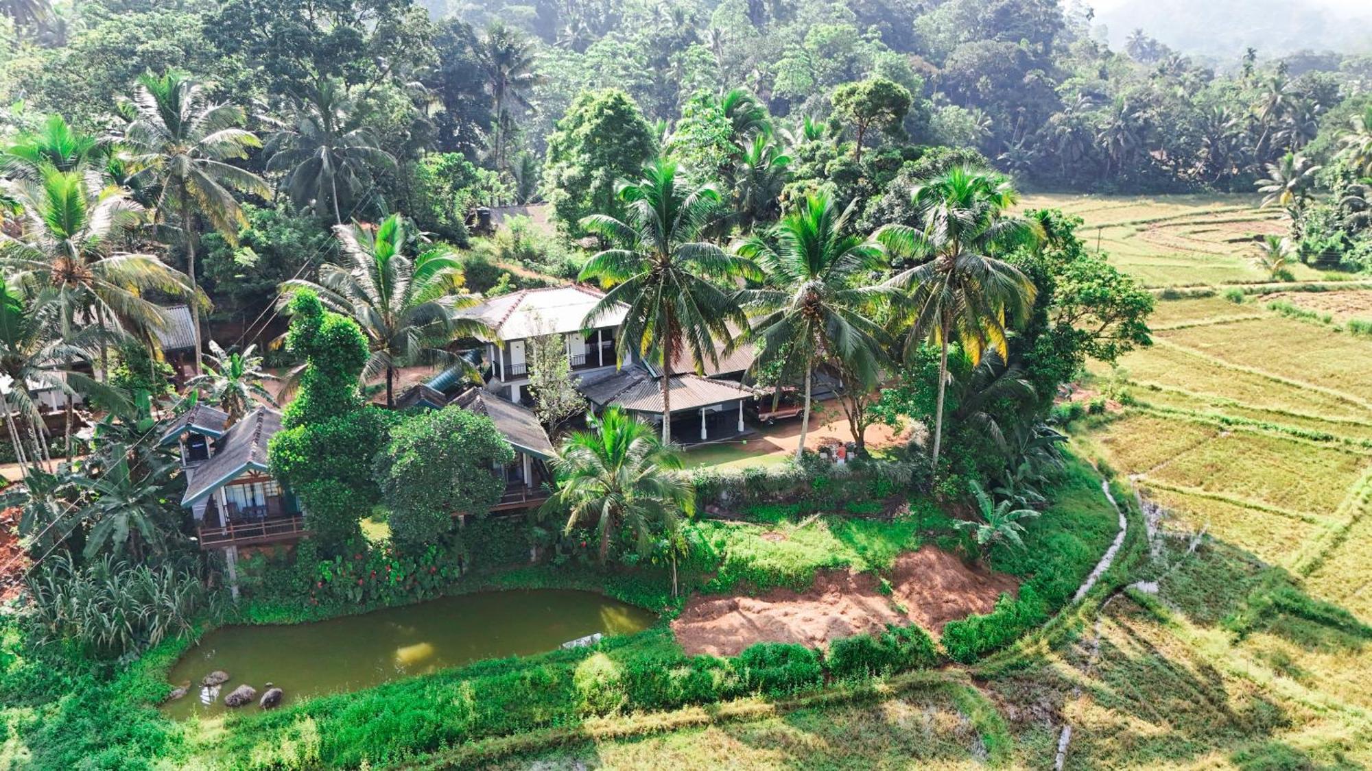 Rainforest Nest Deniyaya Exterior foto